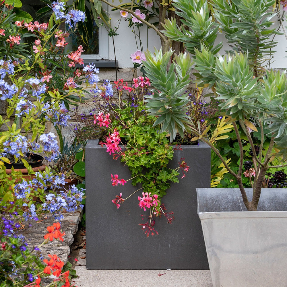 Load image into Gallery viewer, BURGON & BALL Container Scoop - RHS-Endorsed