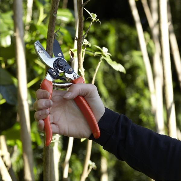 Load image into Gallery viewer, BURGON-and-BALL-Anvil Secateur-RHS-Endorsed-GTO-SCA-Botanex2