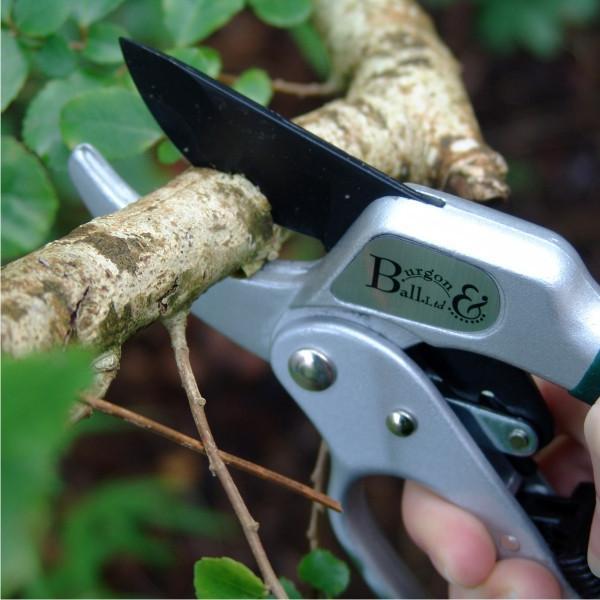 Load image into Gallery viewer, BURGON & BALL Ratchet Pruner - RHS Endorsed
