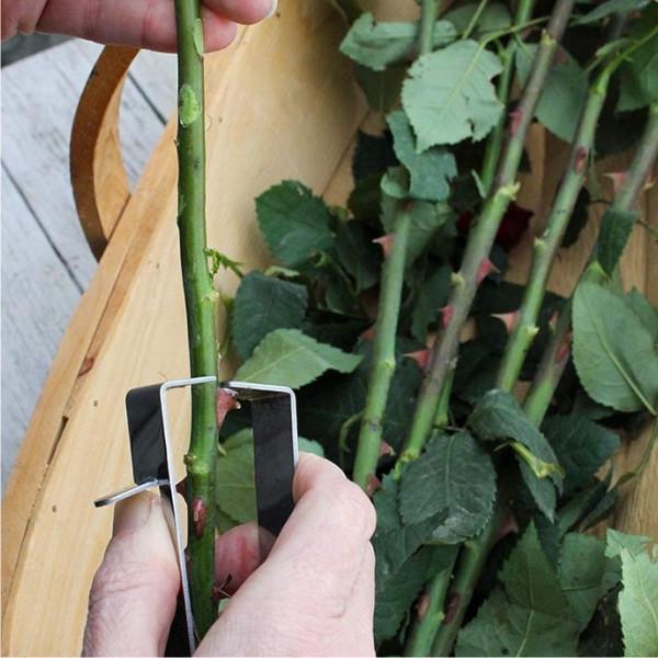 Load image into Gallery viewer, BURGON & BALL Essential Tools - Rose Garden Thorn Stripper
