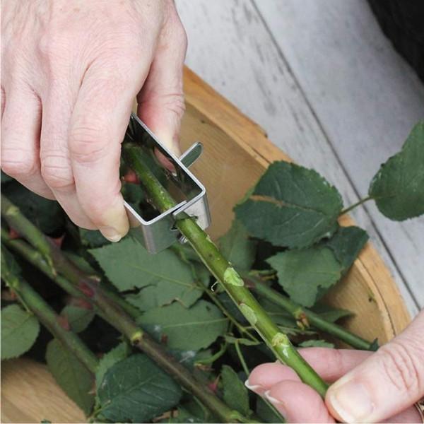 Load image into Gallery viewer, BURGON & BALL Essential Tools - Rose Garden Thorn Stripper
