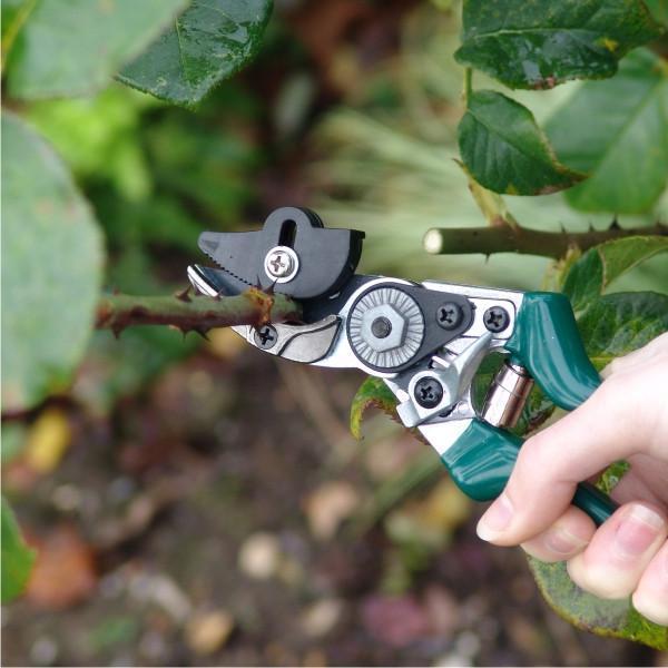 Load image into Gallery viewer, BURGON & BALL Rose Garden Pruner - Cut and Hold