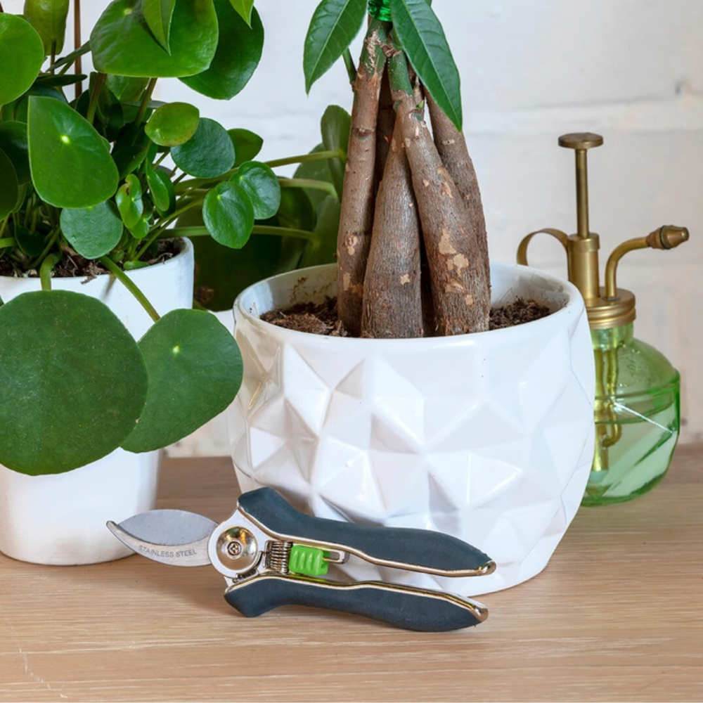 Load image into Gallery viewer, BURGON & BALL Houseplant Pruner