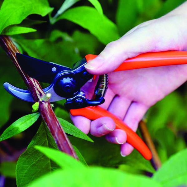 Load image into Gallery viewer, BURGON & BALL Micro Secateurs - Terracotta