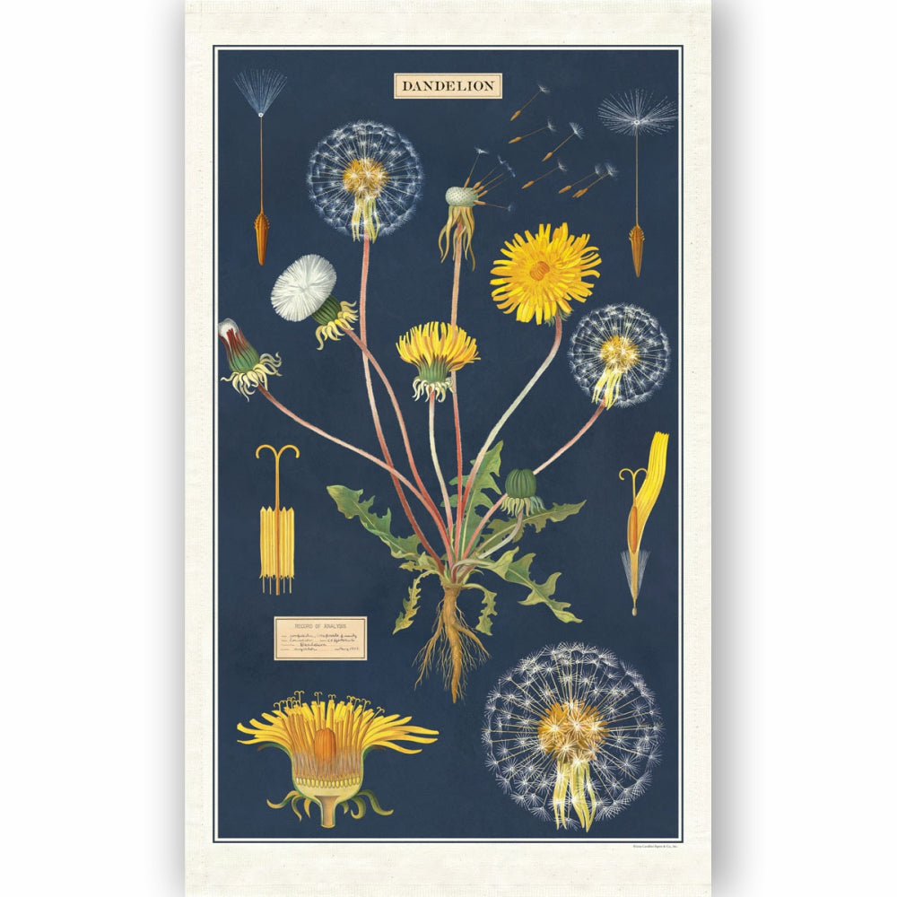Load image into Gallery viewer, CAVALLINI & Co. 100% Natural Cotton Tea Towel - Dandelion