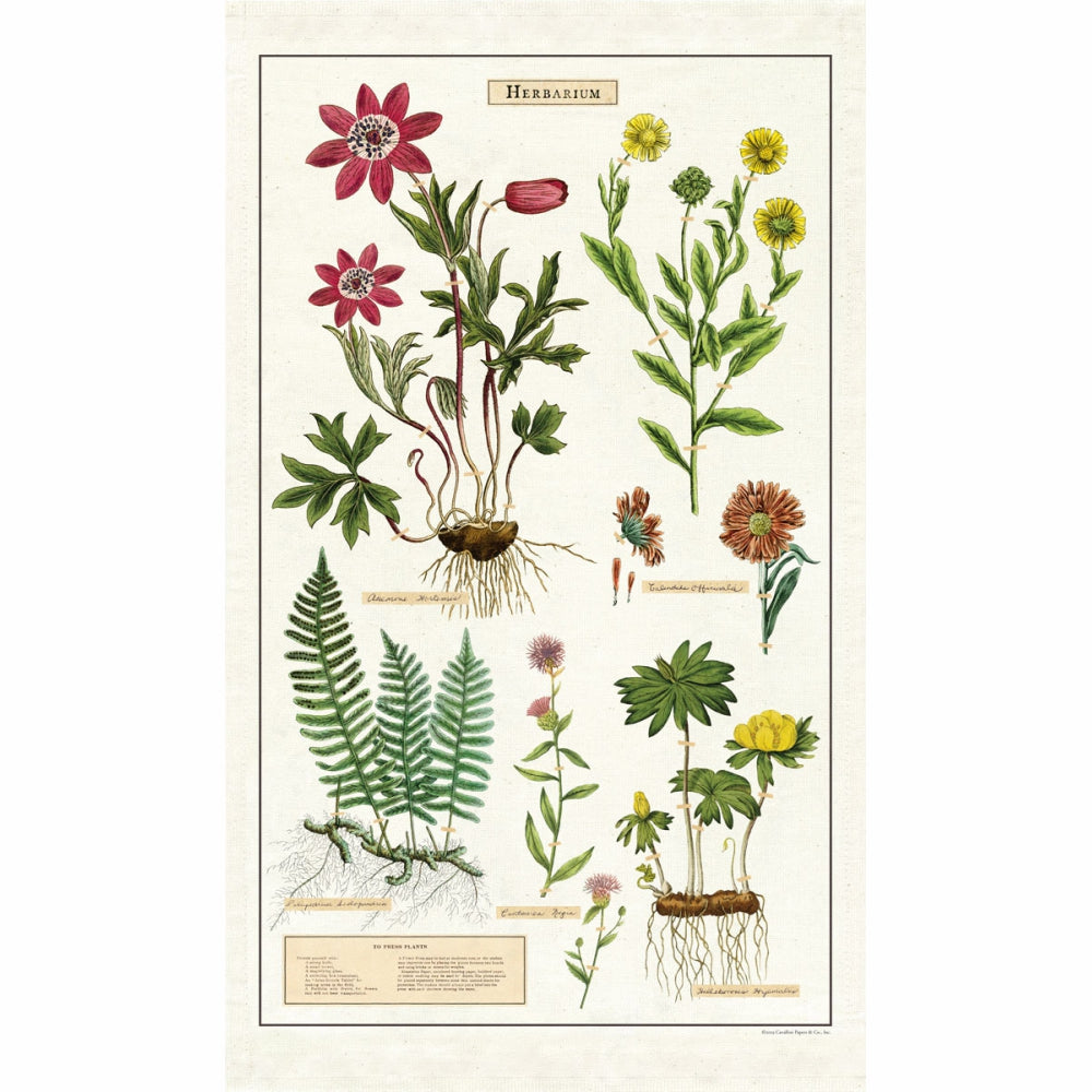 Load image into Gallery viewer, CAVALLINI & Co. 100% Natural Cotton Tea Towel - Herbarium