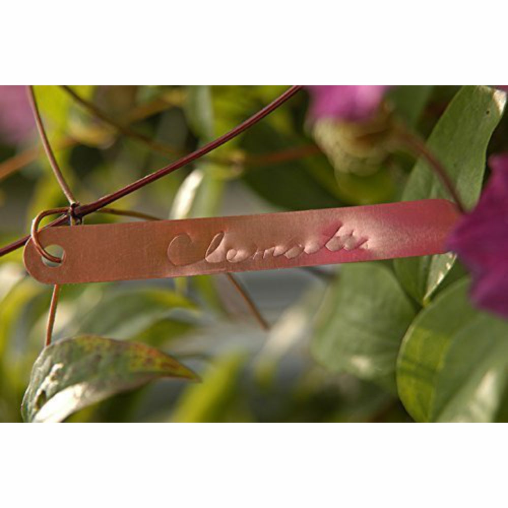 Load image into Gallery viewer, BURGON & BALL Essential Tools - Copper Labels - Tags