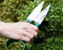 Load image into Gallery viewer, BURGON &amp; BALL Topiary Garden Trimming Shears - Small