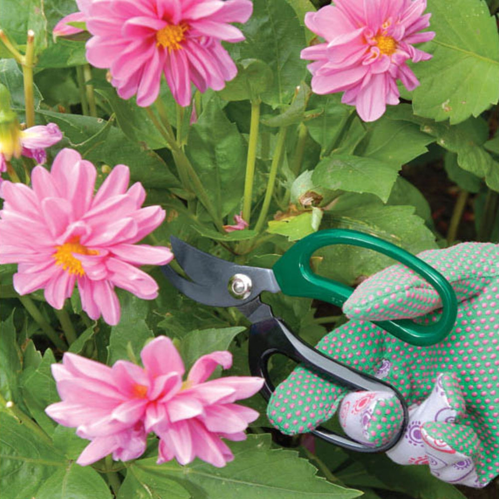 Load image into Gallery viewer, DRAPER TOOLS Expert Soft Grip Garden & Florist Scissor Set - 2 Piece