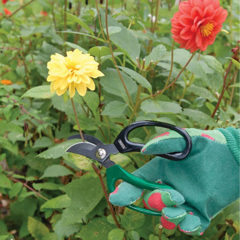 Load image into Gallery viewer, DRAPER TOOLS Expert Soft Grip Garden & Florist Scissor Set - 2 Piece