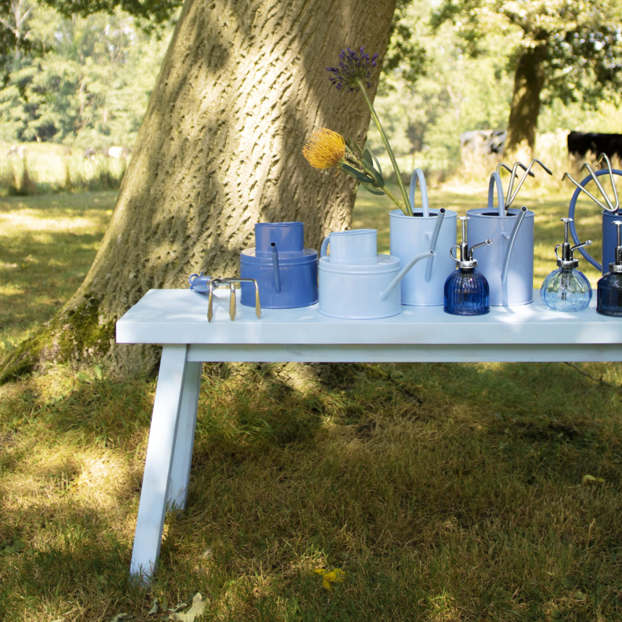 Load image into Gallery viewer, ESSCHERT DESIGN 'Blue Shades' Indoor Watering Can - Sky Blue