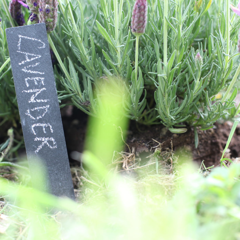 Load image into Gallery viewer, ESSCHERT DESIGN Plant Label Marker Slate - Set of 6
