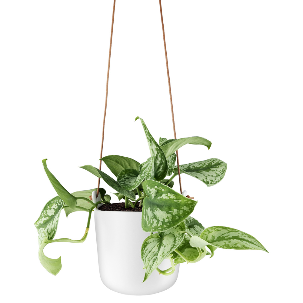 Load image into Gallery viewer, EVA SOLO Self-Watering Flowerpot Hanging White - 15cm **Limited Stock**