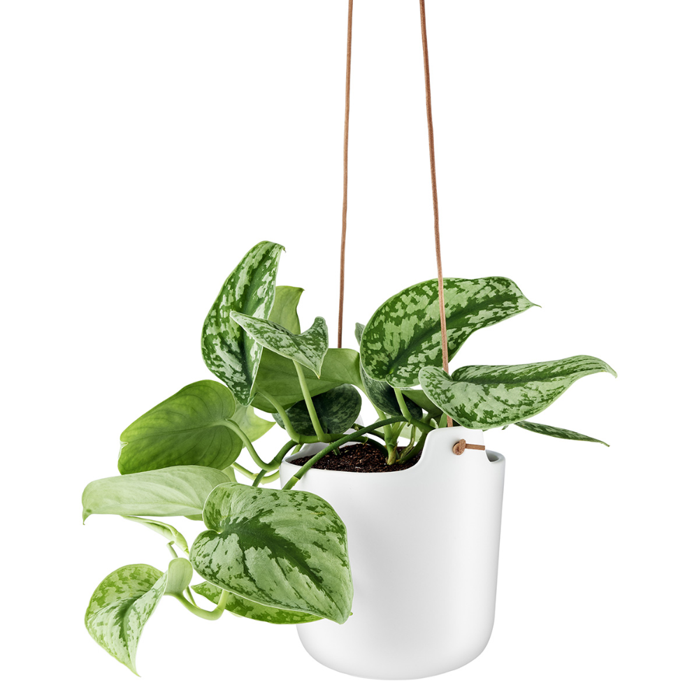 Load image into Gallery viewer, EVA SOLO Self-Watering Flowerpot Hanging White - 15cm **Limited Stock**