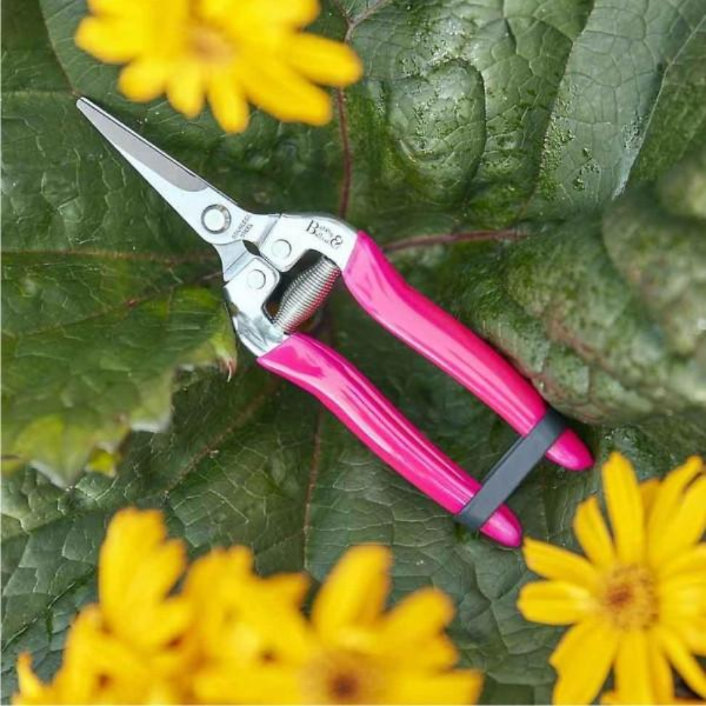Load image into Gallery viewer, BURGON & BALL FloraBrite™ Complete Gardeners Bundle - Pink