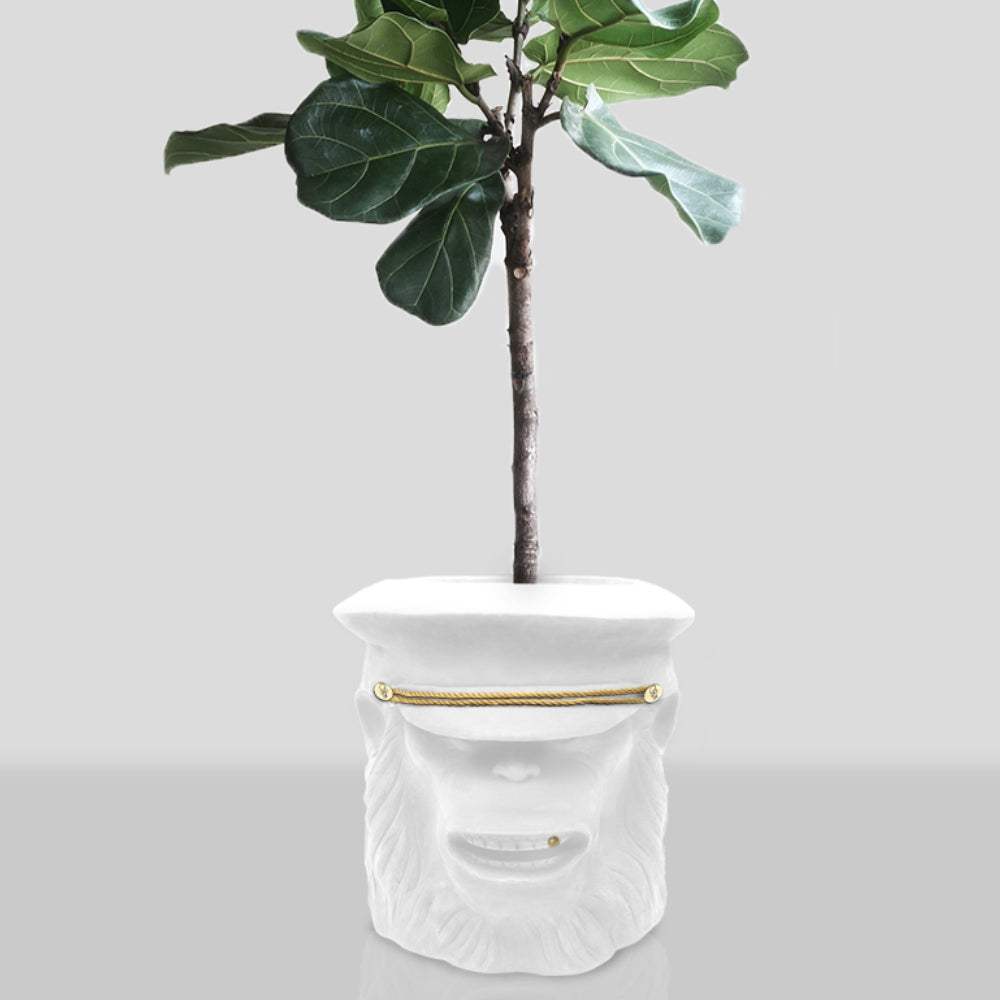 Load image into Gallery viewer, GARDEN GLORY Monkey Pot Large - White