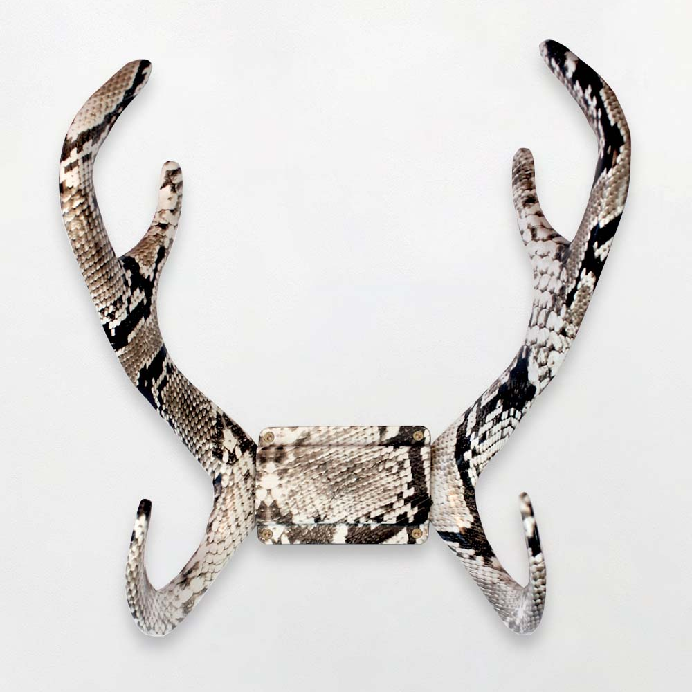 Load image into Gallery viewer, GARDEN GLORY Snake Charming Kit