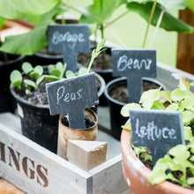Load image into Gallery viewer, GARDEN TRADING Set of 6 Slate Greenhouse Tags