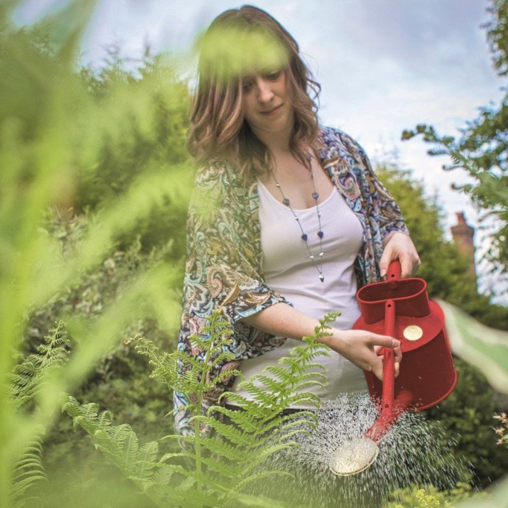 Load image into Gallery viewer, HAWS Gift Boxed Metal Indoor Plant Watering Can 'The Rowley Ripple' 2 Pint (1 Litre) - Burgandy