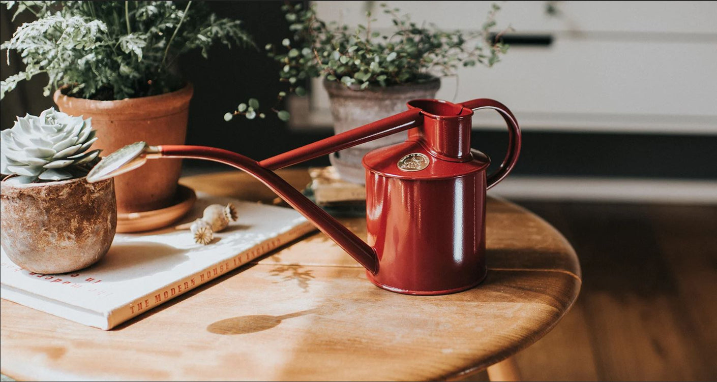 Load image into Gallery viewer, HAWS Gift Boxed Metal Indoor Plant Watering Can 'The Rowley Ripple' 2 Pint (1 Litre) - Burgandy