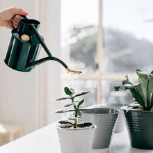 Load image into Gallery viewer, HAWS Gift Boxed Metal Indoor Plant Watering Can &#39;The Rowley Ripple&#39; 2 Pint (1 Litre) - Green