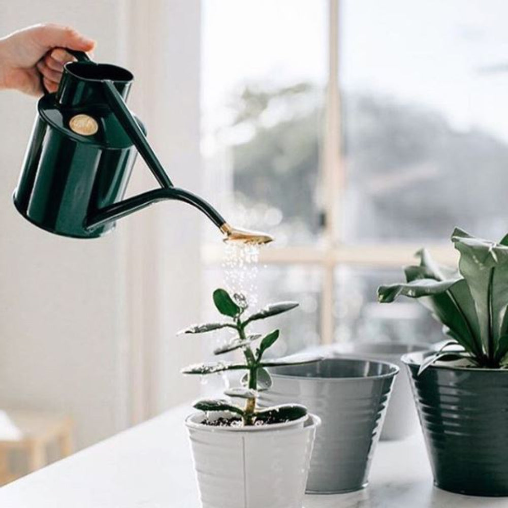 Load image into Gallery viewer, HAWS Gift Boxed Metal Indoor Plant Watering Can 'The Rowley Ripple' 2 Pint (1 Litre) - Green