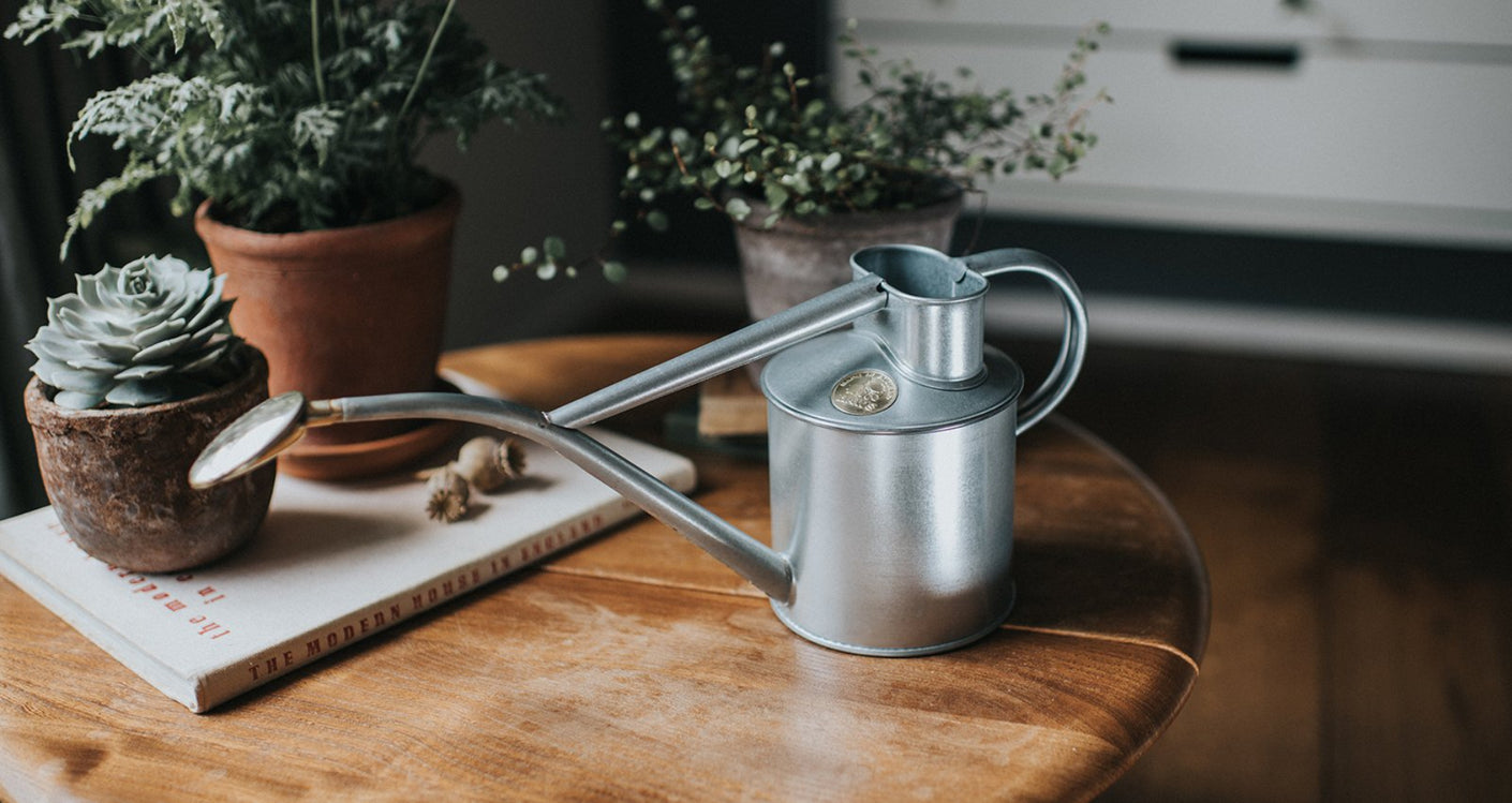 Load image into Gallery viewer, HAWS Gift Boxed Metal Indoor Plant Watering Can 'The Rowley Ripple' 2 Pint (1 Litre) - Titanium