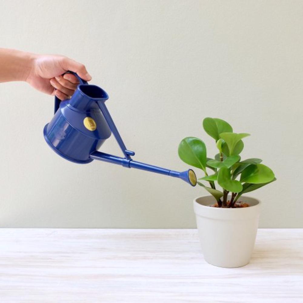 Load image into Gallery viewer, HAWS 'The Langley Sprinkler Blue' Plastic Watering Can - One Pint