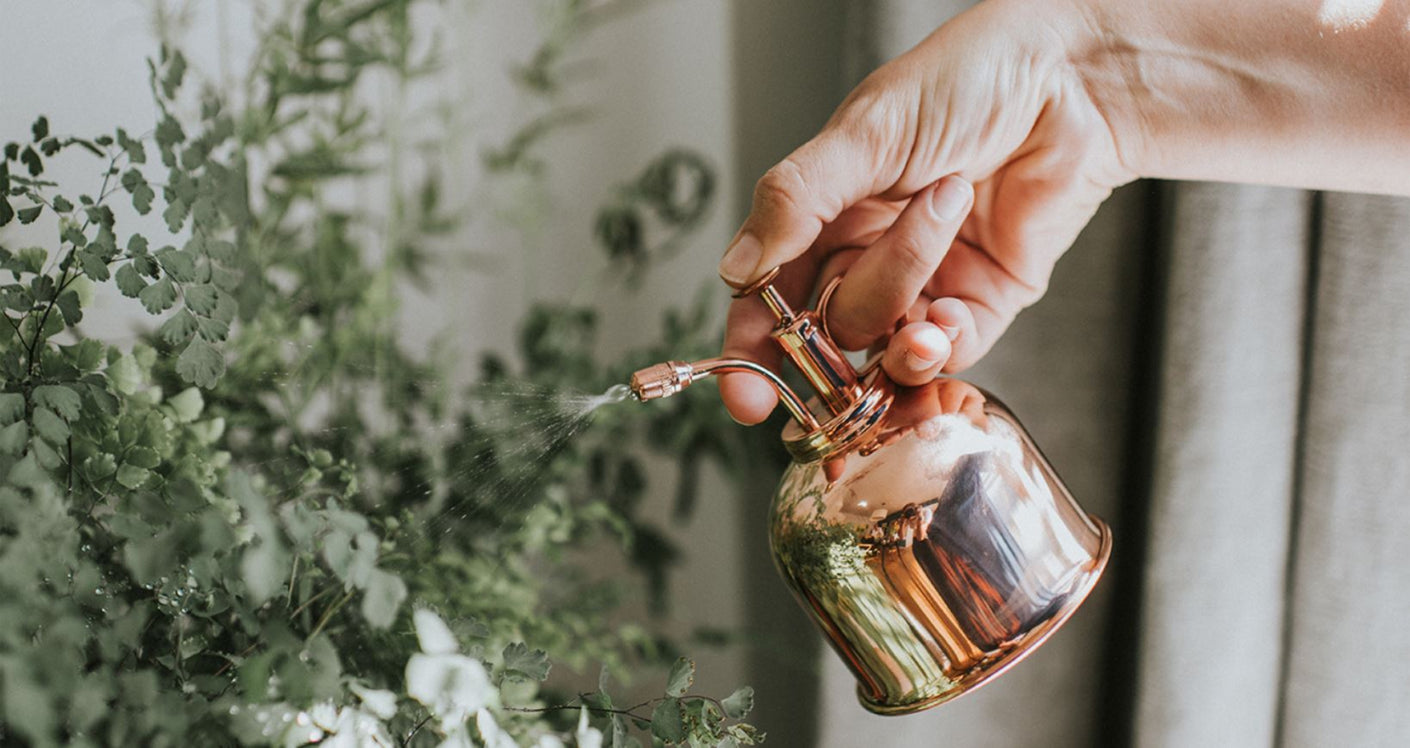 Load image into Gallery viewer, HAWS 'The Smethwick Spritzer' Half Pint Plant Mist Sprayer - Copper