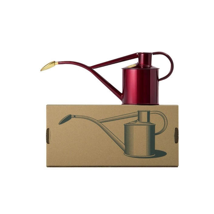 HAWS Gift Boxed Metal Indoor Plant Watering Can 'The Rowley Ripple' 2 Pint (1 Litre) - Claret