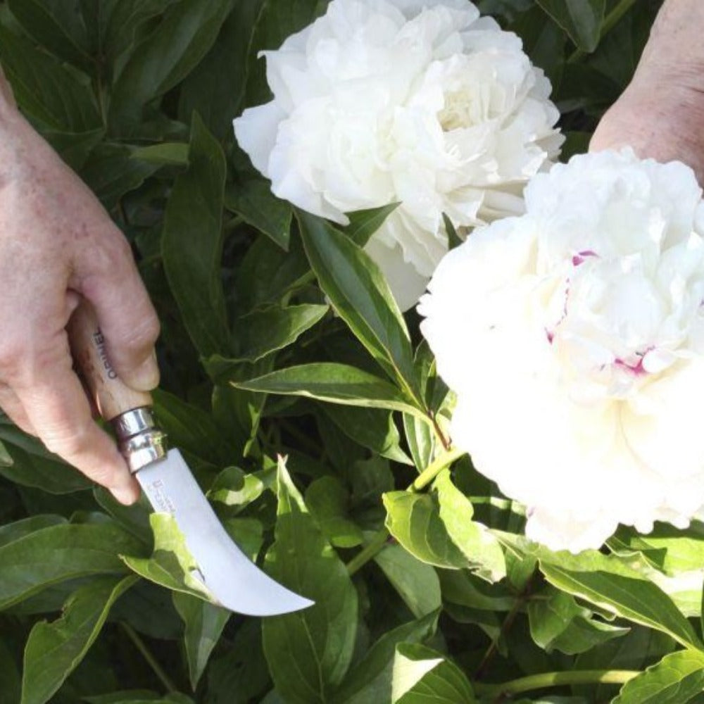 Load image into Gallery viewer, OPINEL N8 Folding Pruning Knife / Grafting Billhook - 04109