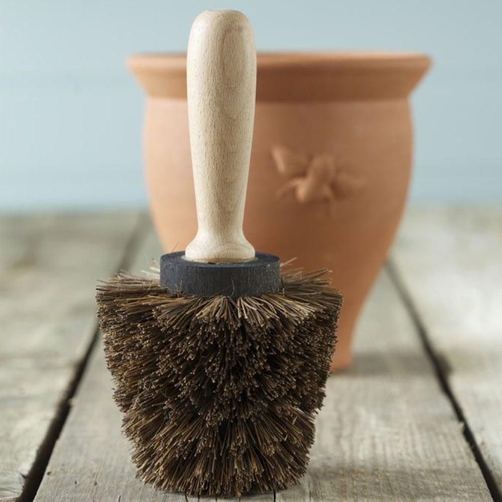 NUTSCENE® SCOTLAND Garden Pot Cleaning Brush