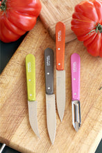 Load image into Gallery viewer, OPINEL Essentials 4 piece Kitchen / Knife Set - Colours (Fifties)