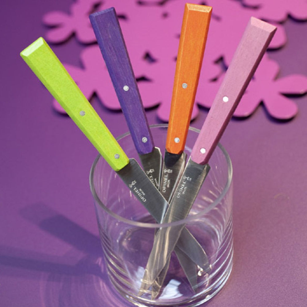 Load image into Gallery viewer, OPINEL N125 'Bon Appetit' Table Knife 4 Piece Set (Pop Colours)