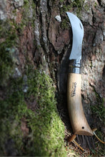Load image into Gallery viewer, OPINEL Mushroom Knife Beech + Boar Bristles - Gift Boxed