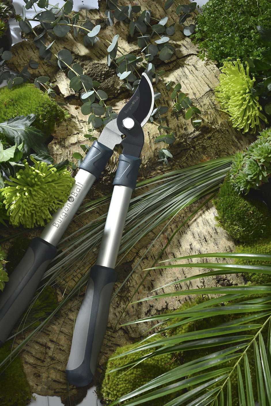 Load image into Gallery viewer, BURGON & BALL Mini Bypass Tree Lopper