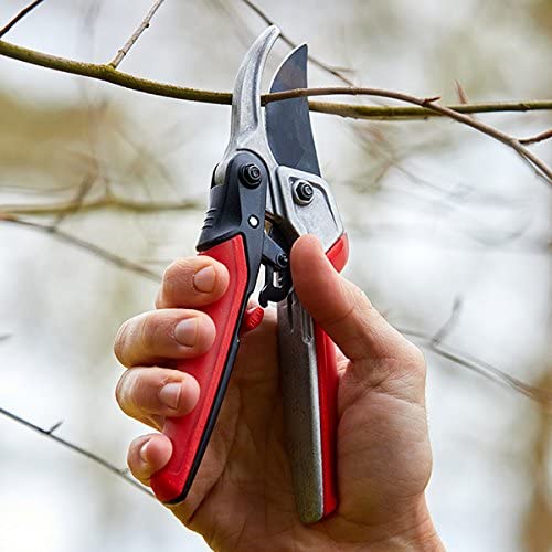 Load image into Gallery viewer, CORONA RatchetCUT ComfortGEL Anvil Pruner - 3/4 in