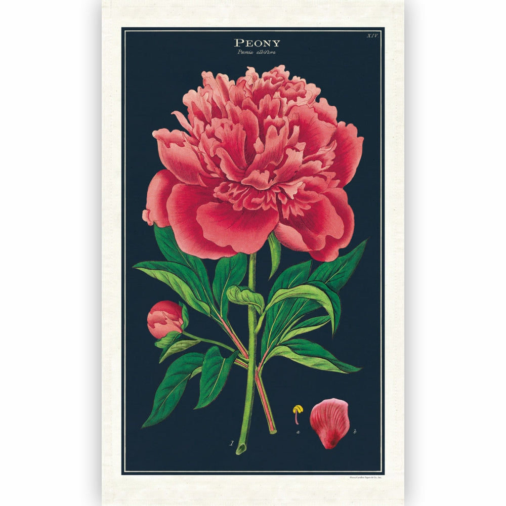 Load image into Gallery viewer, CAVALLINI & Co. 100% Natural Cotton Tea Towel - Botanica Peony