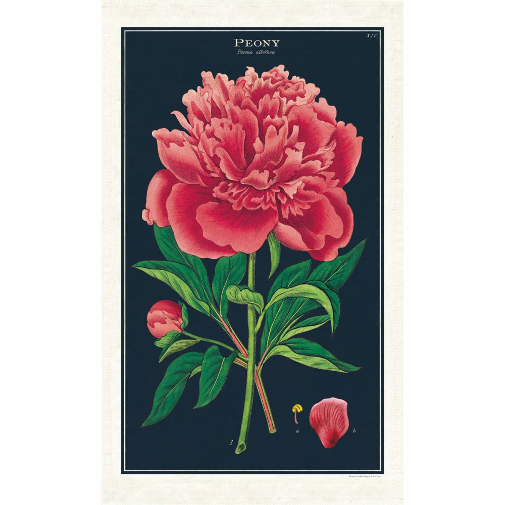 Load image into Gallery viewer, CAVALLINI & Co. 100% Natural Cotton Tea Towel - Botanica Peony
