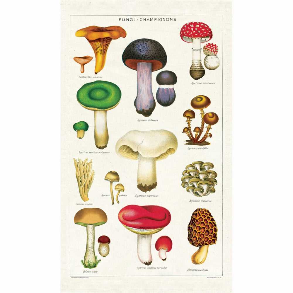 Load image into Gallery viewer, CAVALLINI & Co. 100% Natural Cotton Tea Towel - Mushrooms & Toadstools