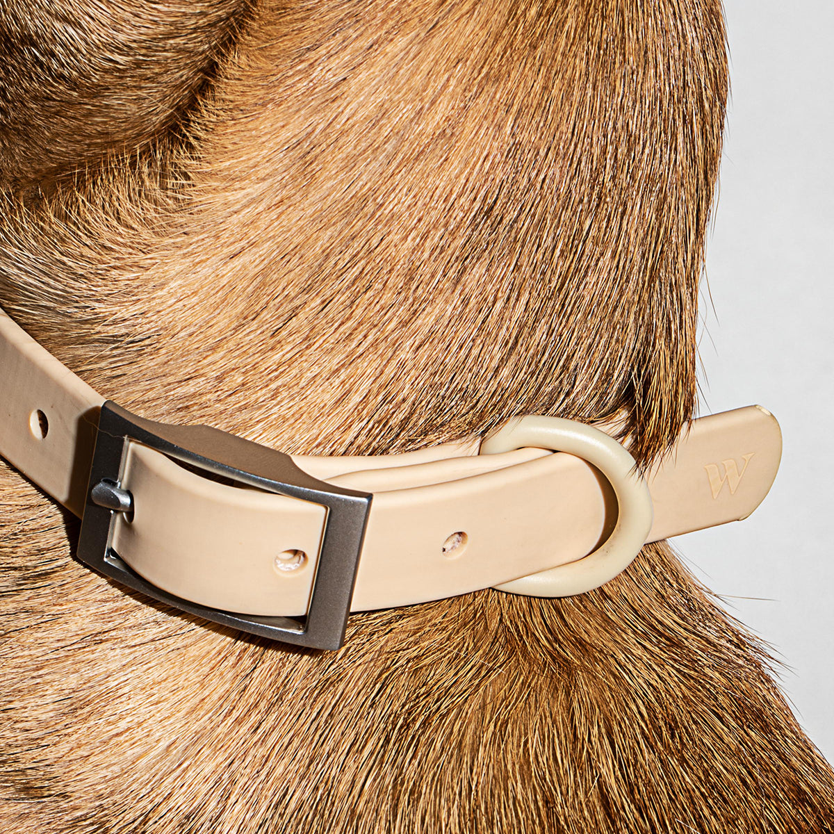 Load image into Gallery viewer, WILD ONE Dog Collar Small - Tan **CLEARANCE**