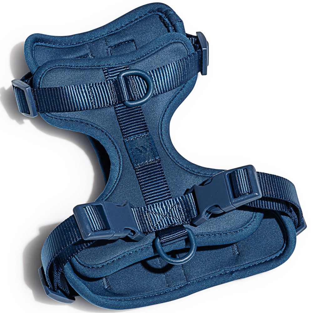 Load image into Gallery viewer, WILD ONE Dog Harness Large - Navy Blue **CLEARANCE**