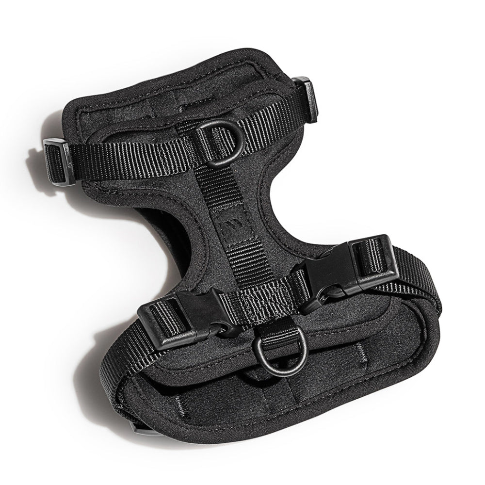 Load image into Gallery viewer, WILD ONE Dog Harness Medium - Black **CLEARANCE**