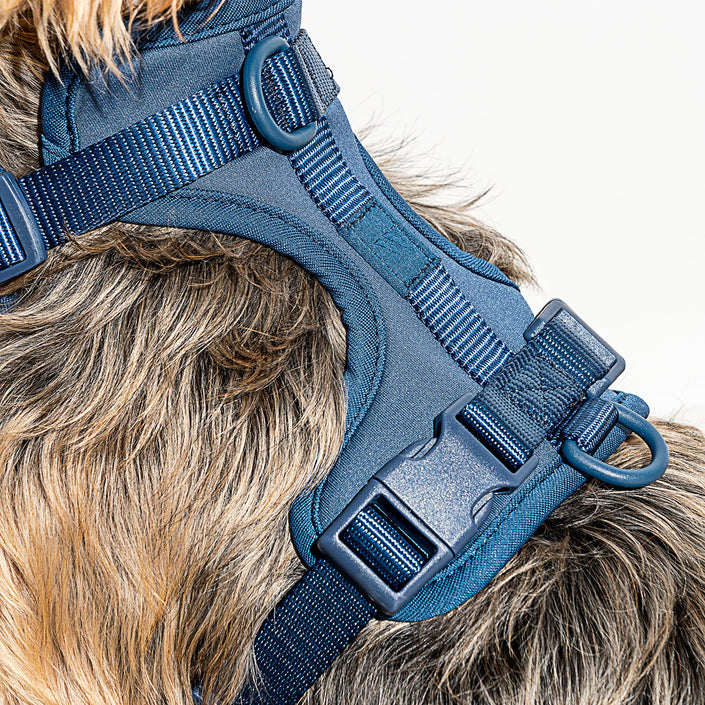 WILD ONE Dog Harness Small - Navy Blue