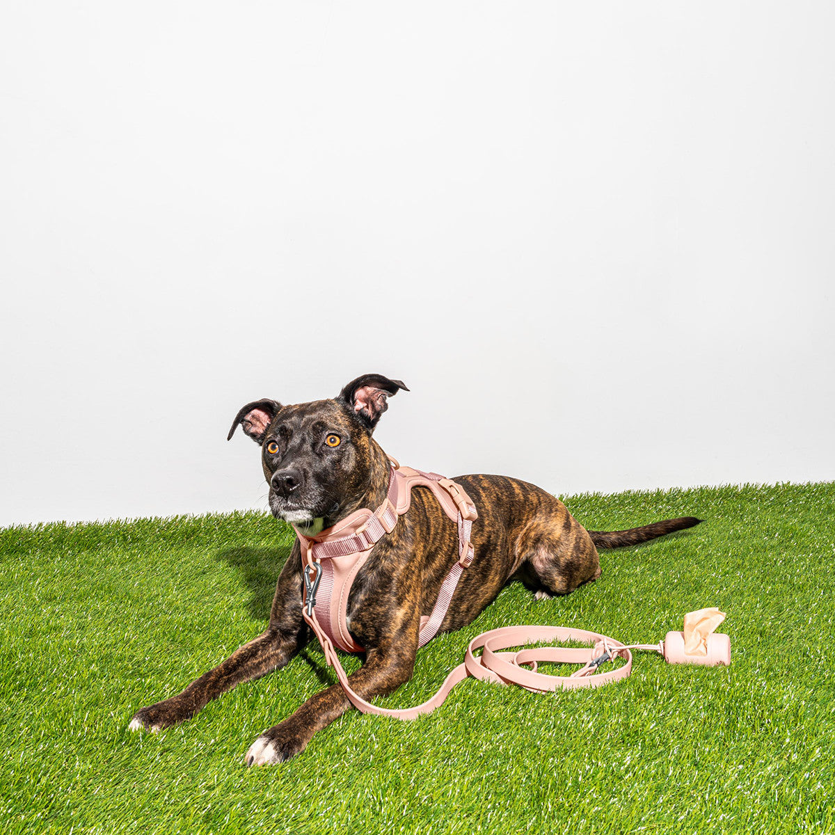 Load image into Gallery viewer, WILD ONE Dog Poop Bag Carrier - Blush Pink **CLEARANCE**
