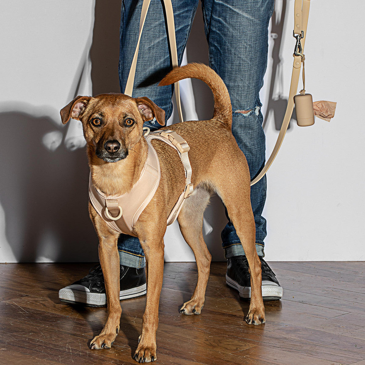 Load image into Gallery viewer, WILD ONE Dog Poop Bag Carrier - Tan **CLEARANCE**