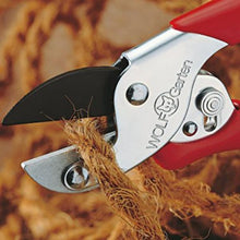 Load image into Gallery viewer, Trimming with WOLF GARTEN Classic Economy Anvil Secateurs
