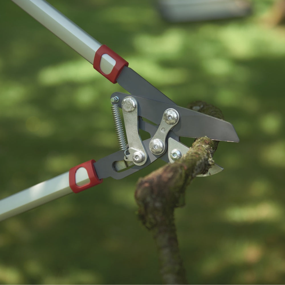 25. 1/2" - 35. 1/2" Wolf-Garten 4x POWER Cut Telescopic Anvil Lopper
