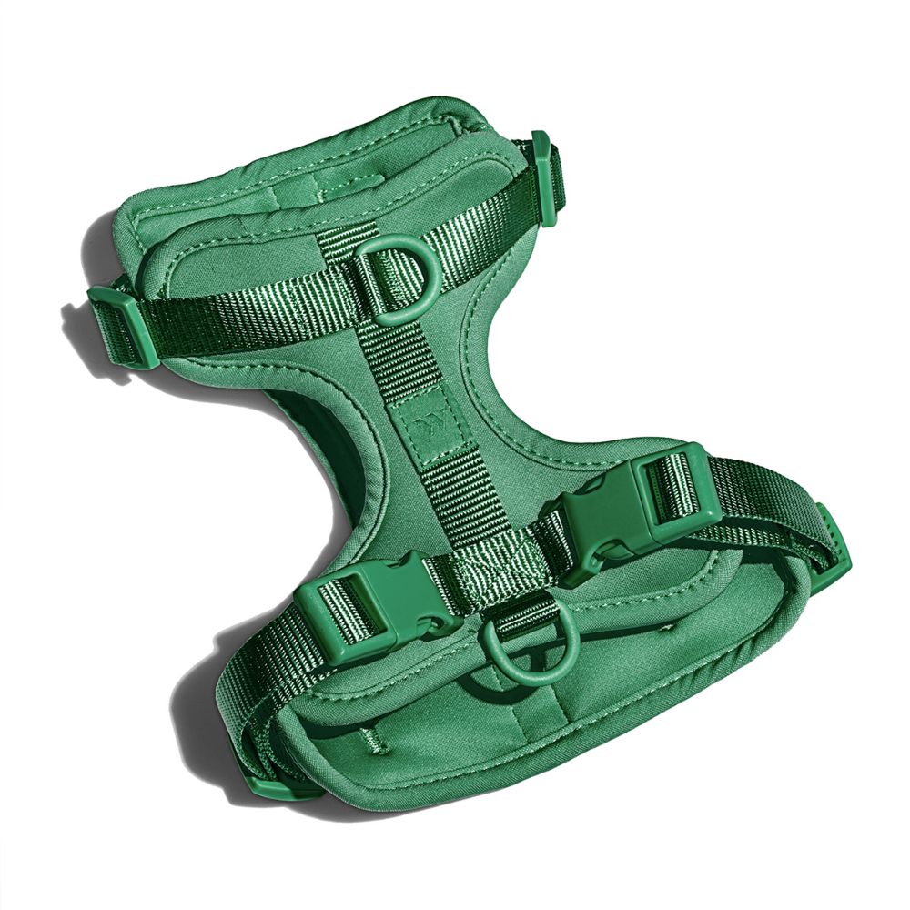 Load image into Gallery viewer, WILD ONE Dog Harness Large - Spruce **CLEARANCE**