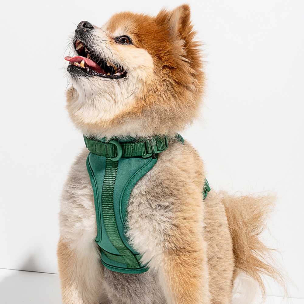 Load image into Gallery viewer, WILD ONE Dog Harness Medium - Spruce **CLEARANCE**